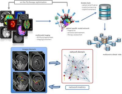 Expected Impacts of Connected Multimodal Imaging in <mark class="highlighted">Precision Oncology</mark>